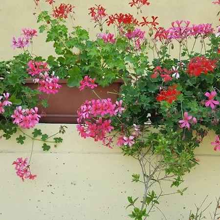 La Smeralda - Boutique And Breakfast Guest house