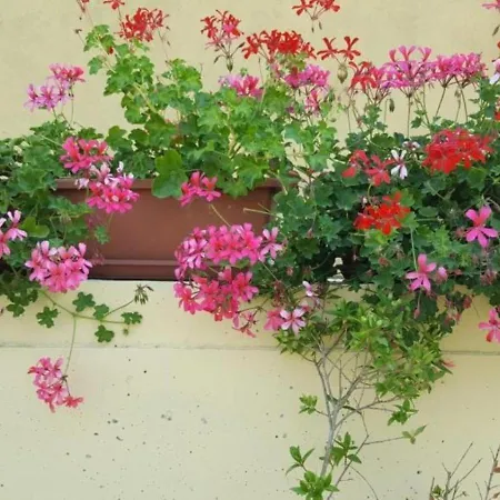 La Smeralda - Boutique And Breakfast Affittacamere Golfo Aranci