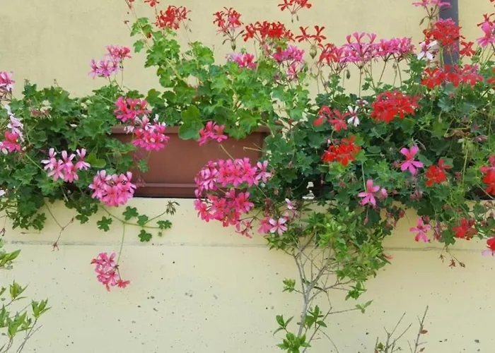 La Smeralda - Boutique And Breakfast Pensionat Golfo Aranci